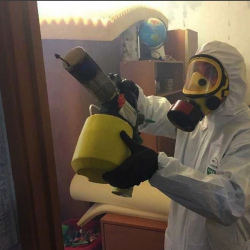 Уничтожение клопов в квартире. Краснодар